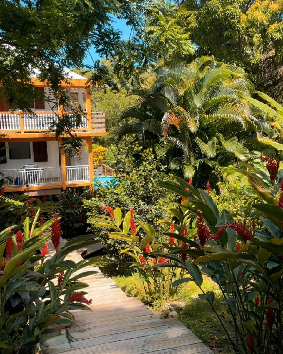 L'allée de bois du domaine, bordée de balisiers rouges et de palmiers, menant à la villa et à la piscine